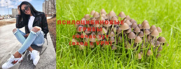 дмт Аркадак